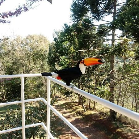 Abrigo Da Reserva Hotel ซานโต อังตัวนิโอ โด ปิงญัล ภายนอก รูปภาพ