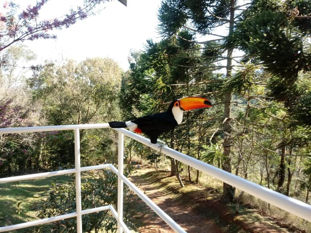Abrigo Da Reserva Hotel ซานโต อังตัวนิโอ โด ปิงญัล ภายนอก รูปภาพ